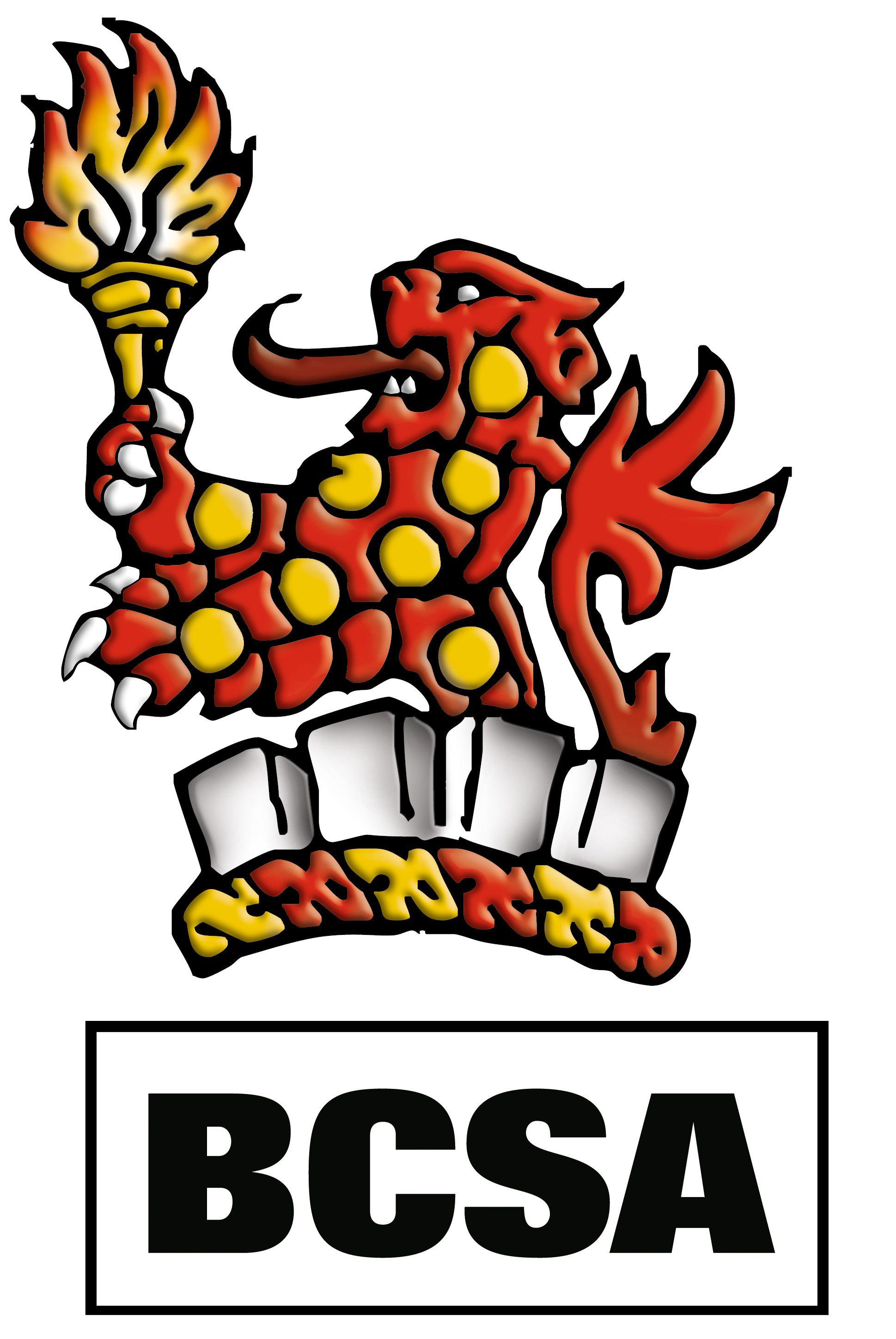 Col Logo - BCSA logo 3D col Conference Centre