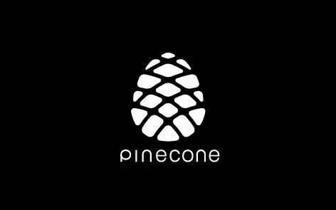 Pine Cone Logo - Xiaomi Pinecone Processor: Everything you need to know!