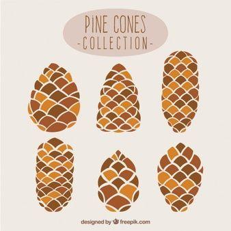 Pine Cone Logo - Pine Cone Vectors, Photo and PSD files