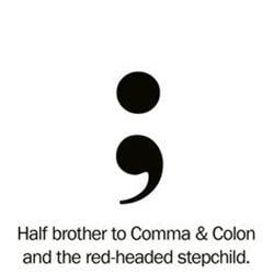 White Circle Red Colon Logo - Understanding the Semicolon