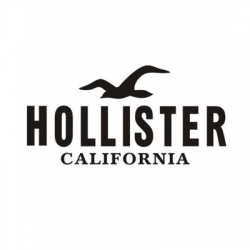 Black Hollister Logo - Hollister | Malaabes Online Shopping Store in Egypt Promoting ...