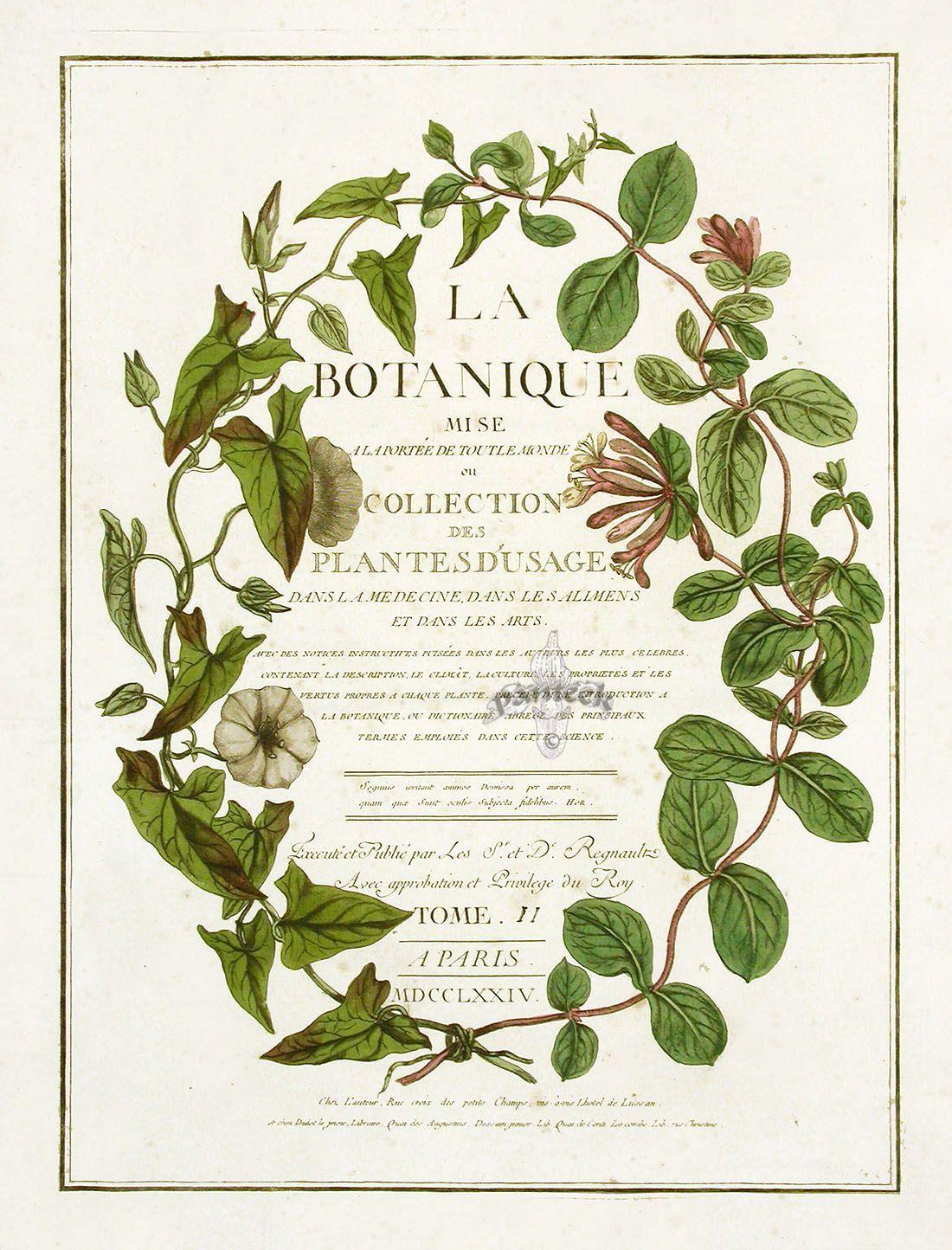 Beautiful Botany Logo - LOUISE! Look at this one! This is beautiful! Something like this