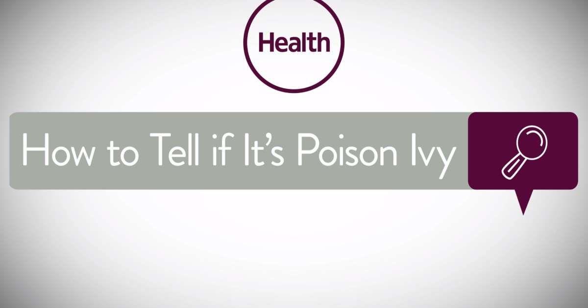 MSN Health Logo - How To Tell If It's Poison Ivy