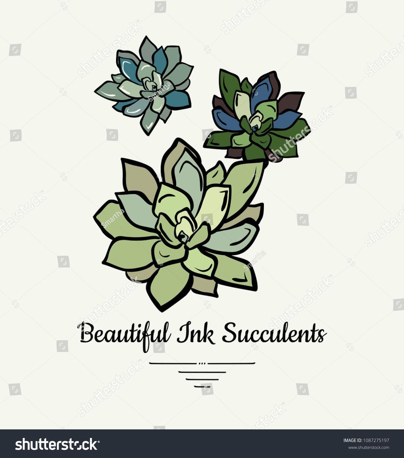 Beautiful Botany Logo - Beautiful ink succulent plants illustration. Hand drawn succulents ...