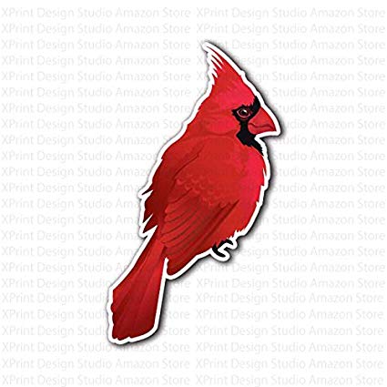 White and Red Bird Logo - Amazon.com : Cardinal Red Bird Sticker : Everything Else