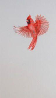 White and Red Bird Logo - cardinal black and white tattoo - Google Search | Tattoo inspiration ...
