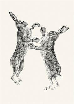 Rabbit Boxing Logo - 18 Best Vintage Boxing images | March hare, Vintage box, Bunny