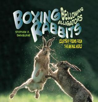 Rabbit Boxing Logo - Boxing Rabbits, Bellowing Alligators by Stephen R. Swinburne