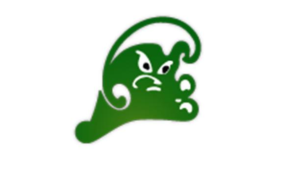 Green Wave Logo - BOYS BASKETBALL: Perkerewicz named Green Wave coach | Grand Forks Herald