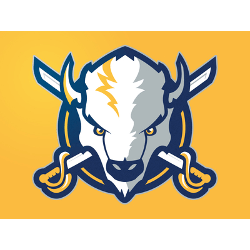 Buffalo Sabres Logo - Buffalo Sabres Concept Logo. Sports Logo History