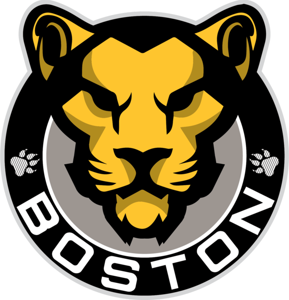 Boston Logo - A NEW LOGO AND BRAND IDENTITY FOR THE PRIDE