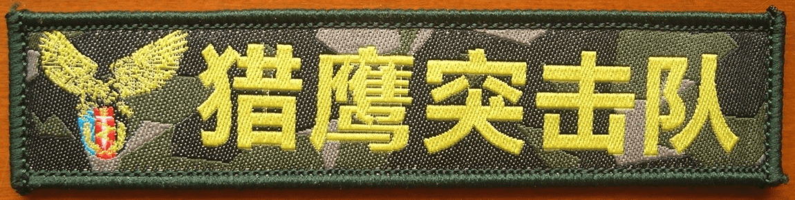 Camo Falcon Logo - 07's China PLA Chengdu Military Region Falcon Special Forces Camo