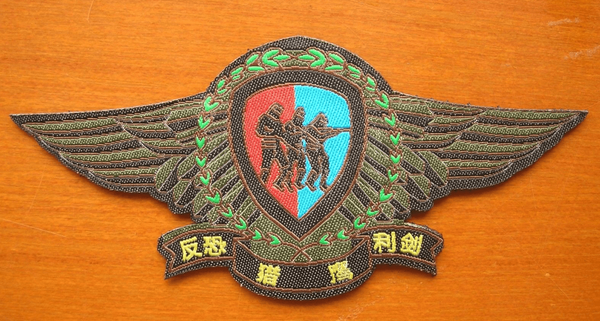 Camo Falcon Logo - 07's China PLA Chengdu Military Region Falcon Special Forces Camo ...