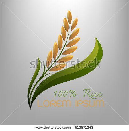 Gold Green Leaf Logo - grain organic natural produc , Rice gold and green leaf logo vector