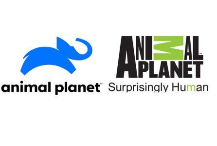 Planet Logo - Animal Planet Rebrands With New Logo, Look & Mission | Deadline