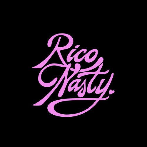 Nasty Logo - BRANDING —
