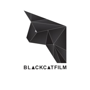 Black Cat Triangle Logo - Black Cat Film on Vimeo
