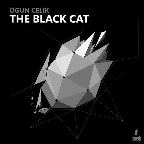 Black Cat Triangle Logo - The Black Cat from Lincor on Beatport
