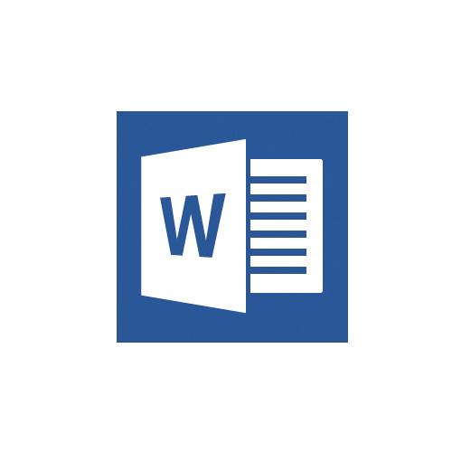 Word 2016 Logo - Microsoft Word 2019 (Non Profit License)