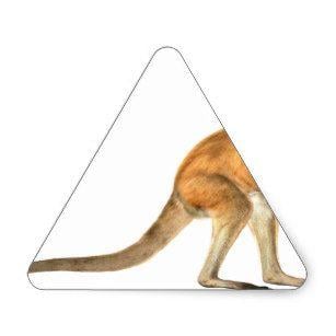 Teiangle in Red Kangaroo Logo - Red Kangaroo Stickers | Zazzle