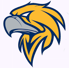 Yellow Hawk Logo - Hasil gambar untuk hawk logo | Rip curl | Logos, Hawk logo, Logo design