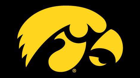 Yellow Hawk Logo - Judges side with Iowa over Tiger Hawk flap