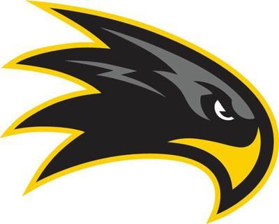 Yellow Hawk Logo - Central Lee designs new logos