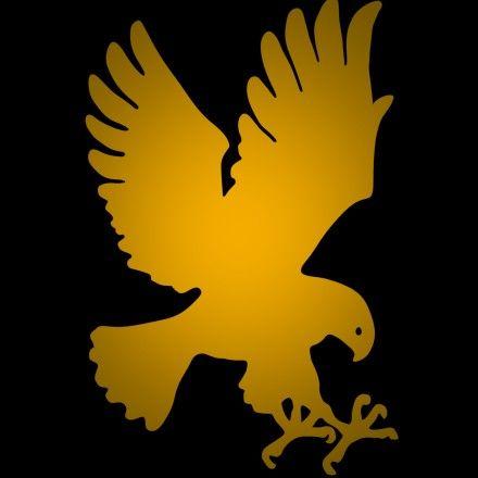 Yellow Hawk Logo - Hawk Logo | Blend Swap