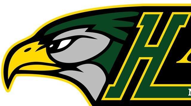 Yellow Hawk Logo - Newmarket Baseball Association's minor Hawks follow senior team's ...