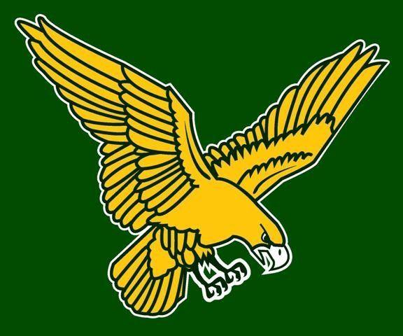 Yellow Hawk Logo - Hay Springs Hawks Logo | | rapidcityjournal.com
