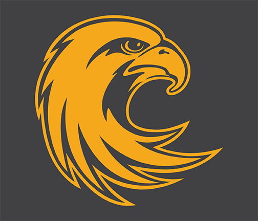 Yellow Hawk Logo - Athletics Logos. Jamestown Community College