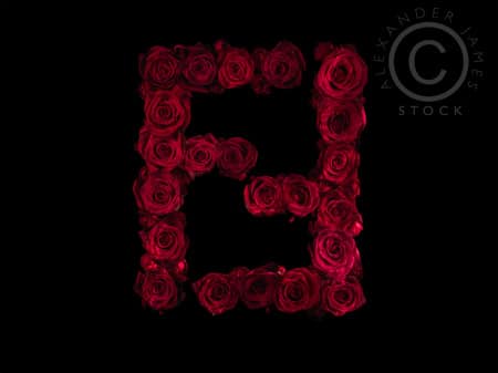 Red and Blqck Famous Logo - Famous Logos Redesigned With Red Roses | Bit Rebels