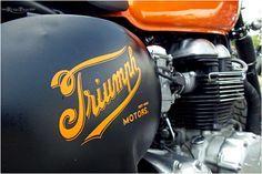 Old Triumph Logo - 24 Best Logos images | Triumph bikes, Triumph motorcycles, Triumph ...