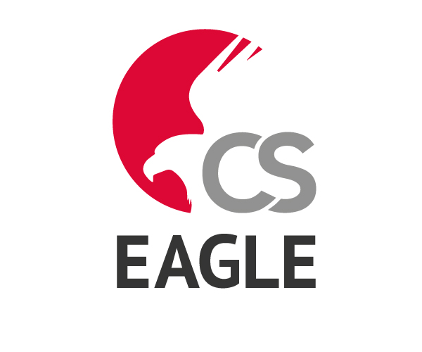 Eagle Company Logo - cs-eagle-company-logo-design | animal logo | Logos, Logo design ...