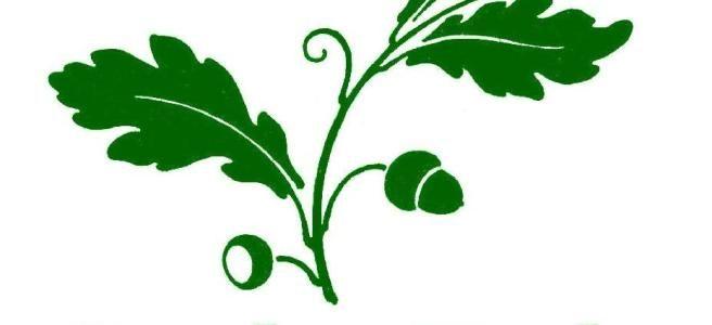 Community Tree Logo - Coeden Fach Community Tree Nursery – Creating an environment ...