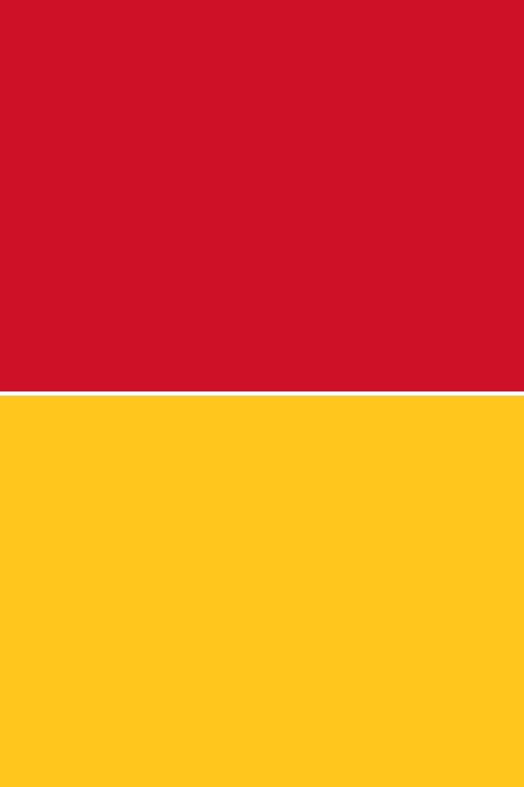 Red Yellow Orange Logo - The complete list of beach flags and warning signs