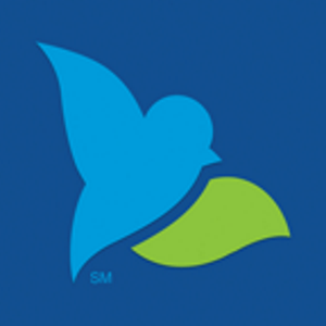 Blue Bird Bank Logo - Alternative to Banking. Bluebird by American Express & Walmart