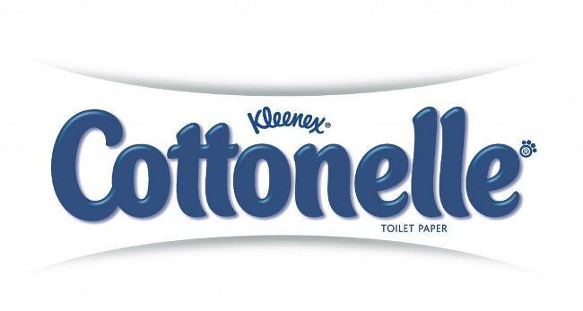 Paper Company Logo - 14 Great Toilet Paper Brands and Their Logos - BrandonGaille.com