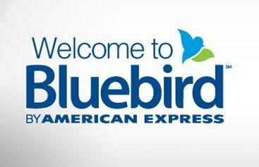 Blue Bird Bank Logo - Not Happy with Your Bank? Try BlueBird. Lille Punkin'