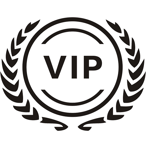 Black VIP Logo - Video Investigation Portable DVR Forensics Software