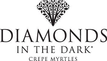Dark Diamond Logo - Diamonds in the Dark™