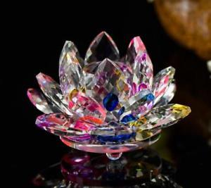 Rainbow Lotus Flowers Logo - Crystal Rainbow Lotus Flower, Beautifully Clear, Buddha, OM, SM