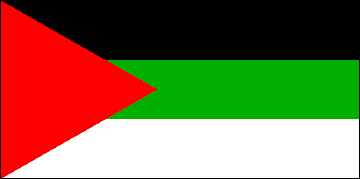 Dark Green Triangle Flag Logo - IRAQ NATIONAL FLAGS