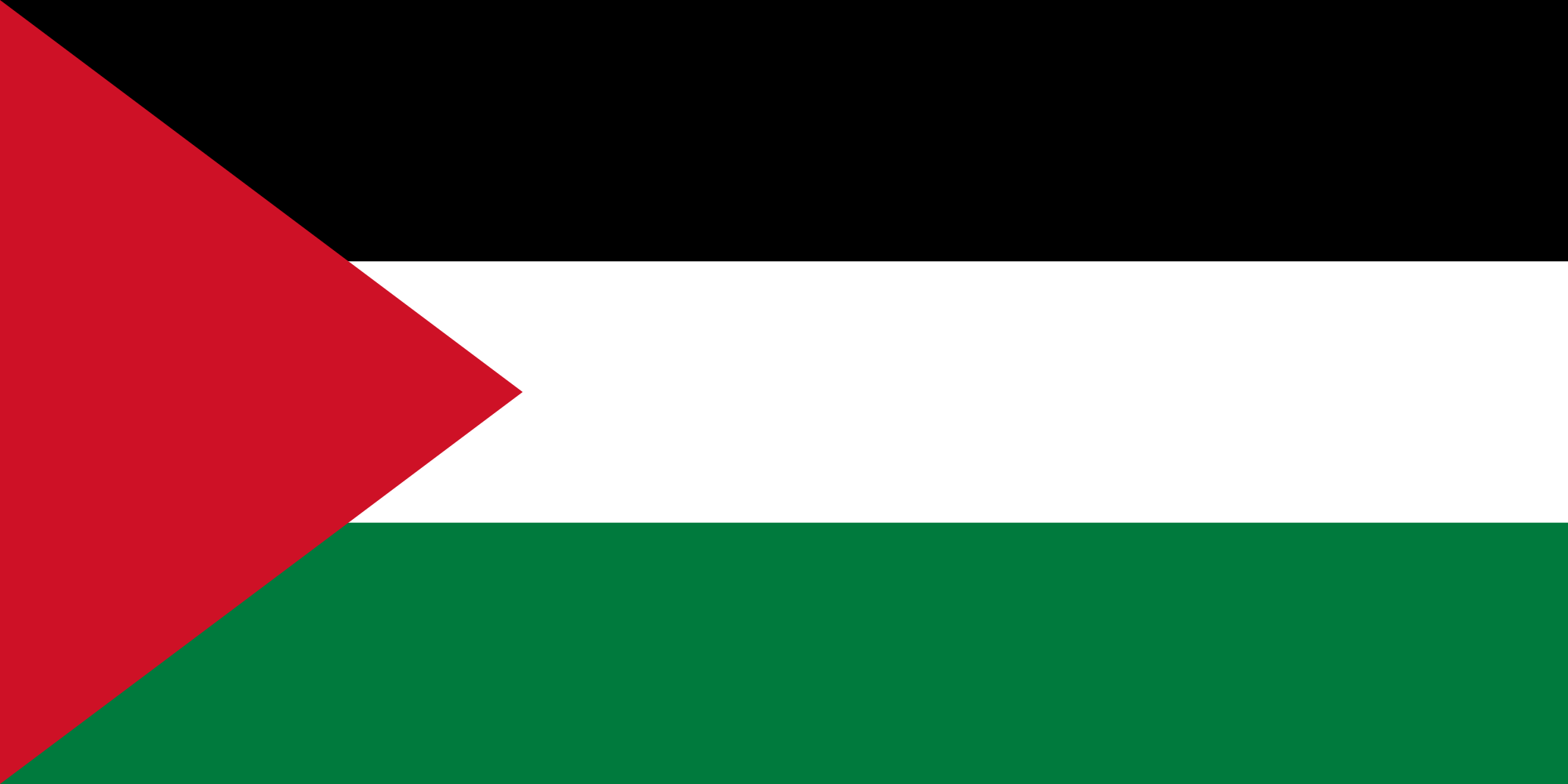White Stripe with Red Triangle Logo - Flag of Palestine