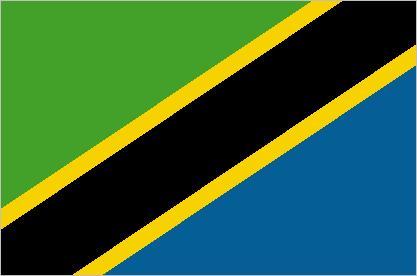 Dark Green Triangle Flag Logo - Flag of Tanzania