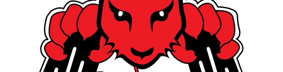 Red Cat Logo - RedCat Racing USA on Vimeo