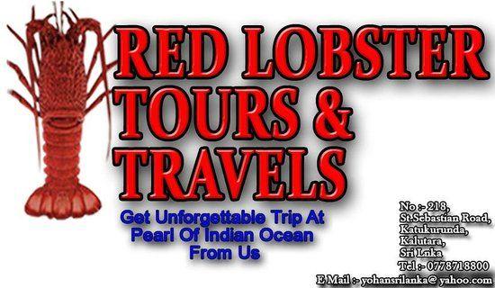Red Lobster Logo - RED LOBSTER LOGO of Red Lobster Tours and Restaurants