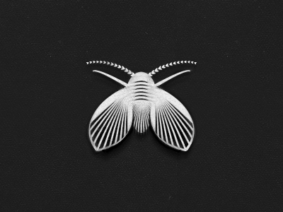 Moth Logo - Moth - Logo Design | MOths | Logo design, Logos, Design