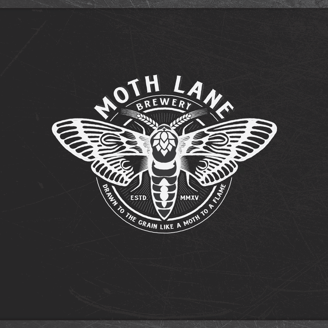 Moth Logo - Creating a memorable logo for Moth Lane Brewing. Logo design contest