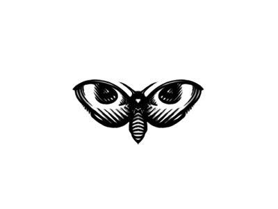 Moth Logo - Moth Eyes Logo by Breno Bitencourt | Dribbble | Dribbble